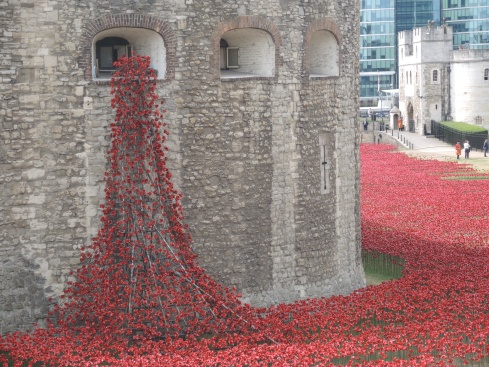 Phenomenal display of ceramic poppies at the Tower of London